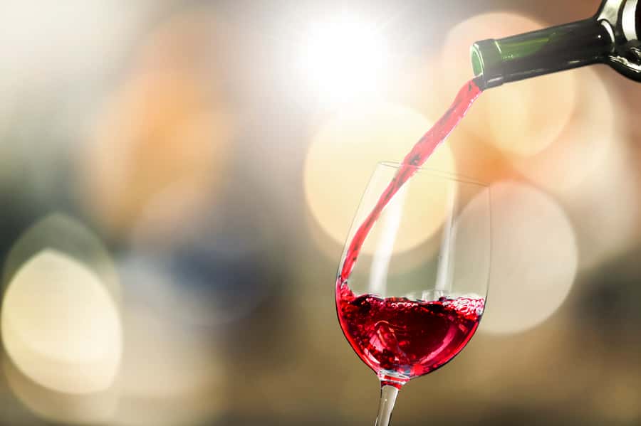 Santiago: Main Chilean Wineries Private Half-Day Tours - A half-day winery plan that actually respects your time in Santiago