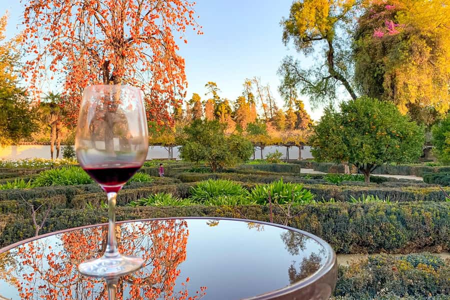 Santiago: Main Chilean Wineries Private Half-Day Tours - Choosing your winery: what each option is best for