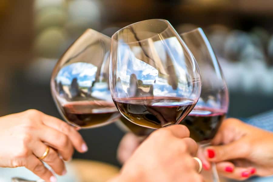 Santiago: Main Chilean Wineries Private Half-Day Tours - What you learn during the tasting and cellar walks