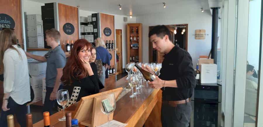 Santiago: Main Chilean Wineries Private Half-Day Tours - Small group dynamics: what it means for your conversations