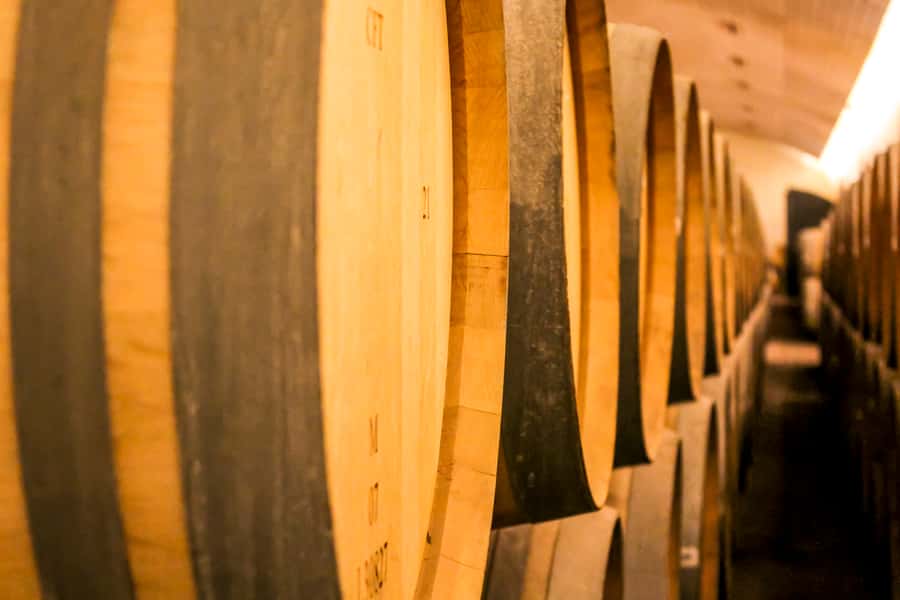 Santiago: Main Chilean Wineries Private Half-Day Tours - Who this private Santiago wine tour fits best
