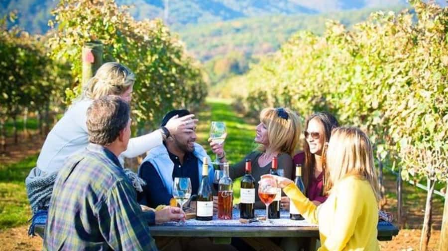 Santiago: Maipo Valley Wine Tasting Tour with 4 Vineyards - Why Maipo Valley Fits Perfectly into a Santiago Schedule