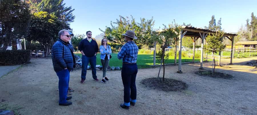 Santiago: Maipo Valley Wine Tasting Tour with 4 Vineyards - Santa Ema (El Peral): Scenic Vines and a Straightforward 3-Wine Tasting