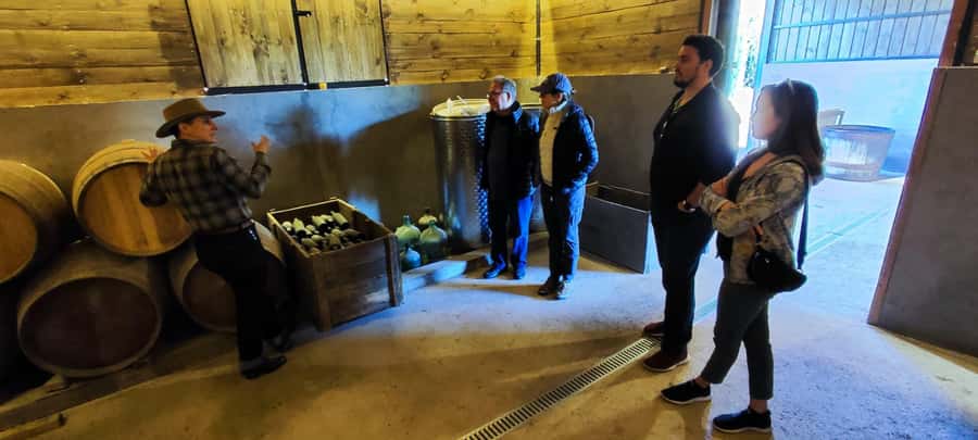 Santiago: Maipo Valley Wine Tasting Tour with 4 Vineyards - TerraMater: Lunch on Your Clock, Olive Oil with Cellar-Priced Potential