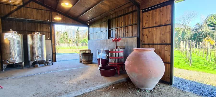 Santiago: Maipo Valley Wine Tasting Tour with 4 Vineyards - How Much Wine You’ll Taste, and How to Pace It