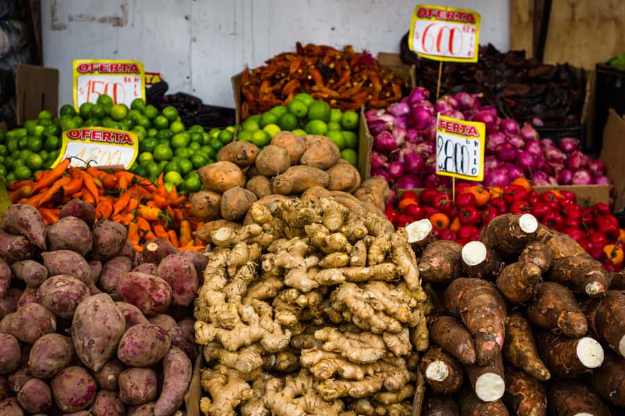 Santiago: Markets Bike Tour - What to bring (and what the tour already provides)