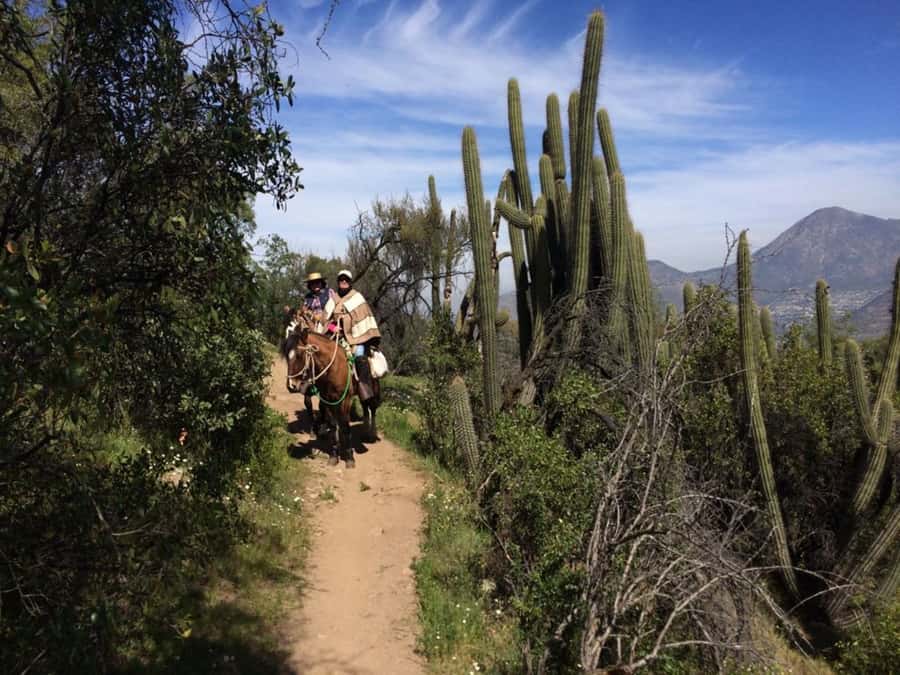 Santiago: Private Andes Foothills Horseback Riding. Half day - Quick hits before you go