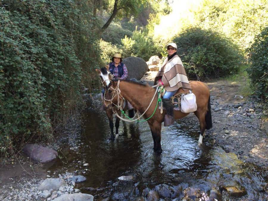 Santiago: Private Andes Foothills Horseback Riding. Half day - The descent back down and how to pace yourself