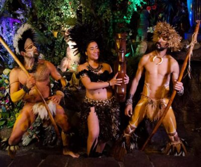 Private Dinner & Chilean Folk Show with Transfers