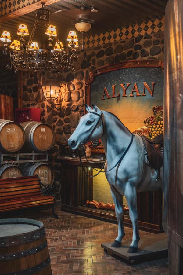 Santiago: Sunset at Vinicola Alyan Family - Key Things I’d Tell a Friend Before You Go