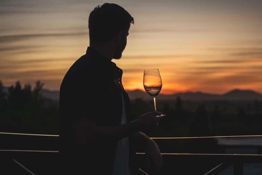 Santiago: Sunset at Vinicola Alyan Family - Dinner and the Sunset Finish: What to Expect When Golden Hour Hits