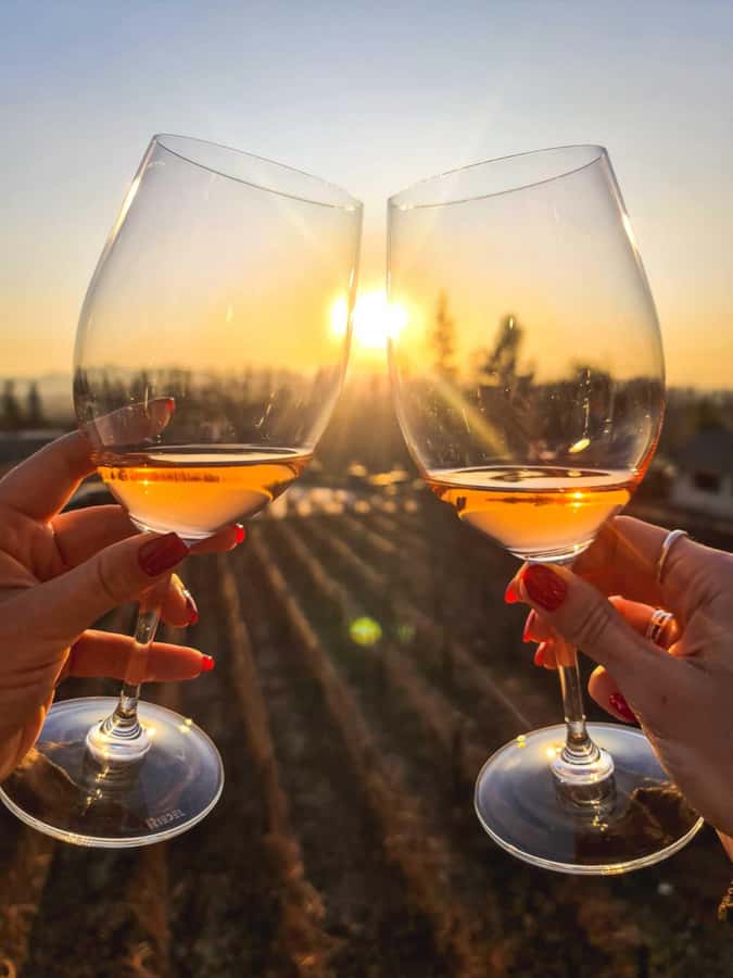 Santiago: Sunset at Vinicola Alyan Family - Price and Value: Is $150 a Good Deal for This 8-Hour Plan?