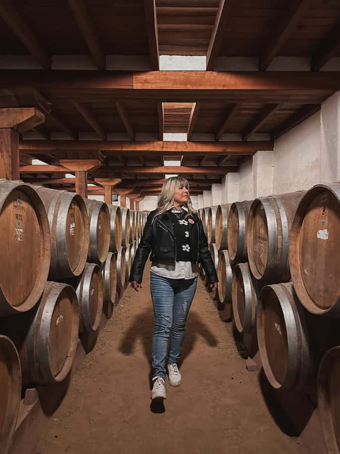 Santiago: Tour to Isla Negra, Algarrobo and Undurraga Wines - Getting There From Santiago: Pickup Zones and the 80-Minute Van Ride