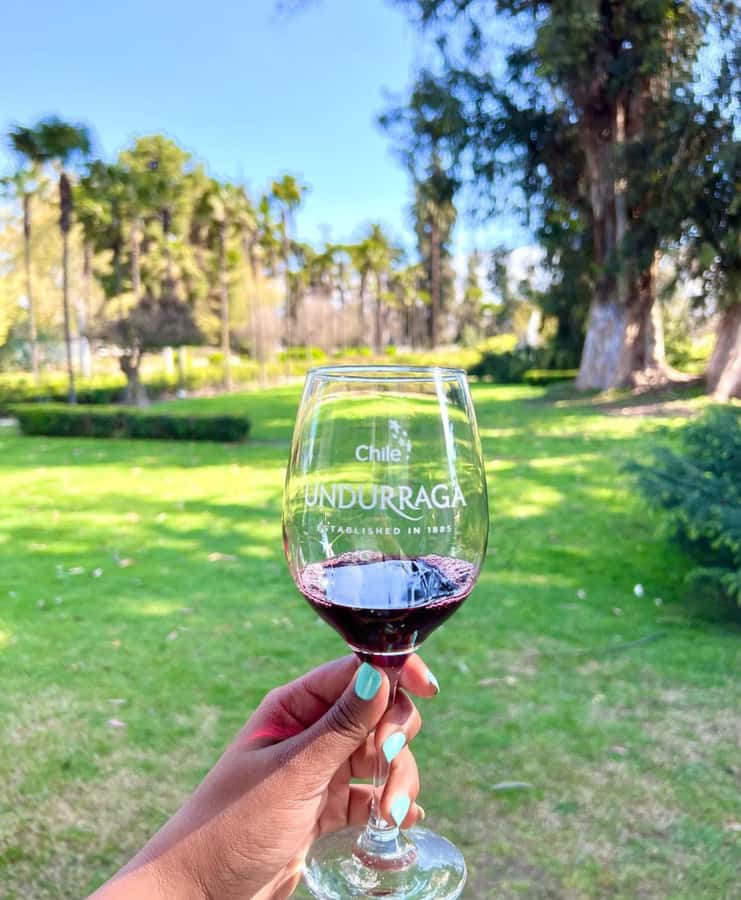 Santiago: Tour to Isla Negra, Algarrobo and Undurraga Wines - Isla Negra and Pablo Neruda’s House-Museum: Ocean Views and Collected Treasures