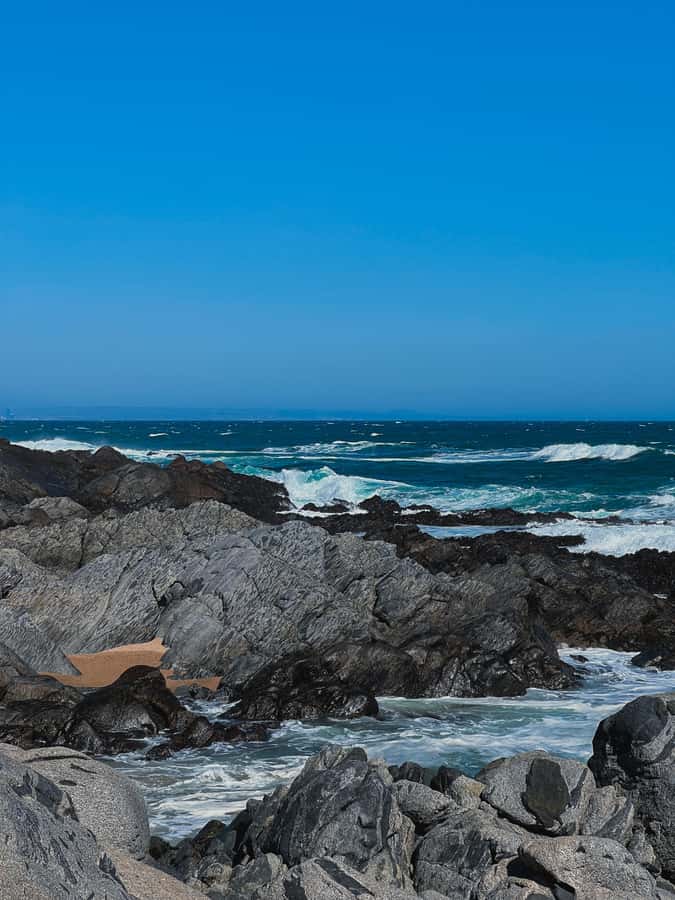 Santiago: Tour to Isla Negra, Algarrobo and Undurraga Wines - Price and Value: What You Pay for at Around $76