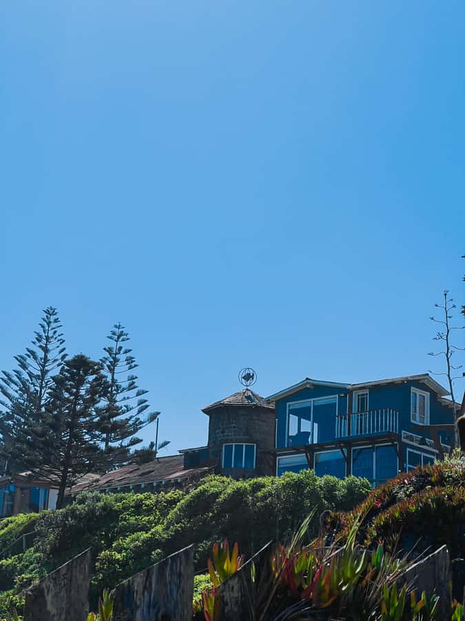 Santiago: Tour to Isla Negra, Algarrobo and Undurraga Wines - Undurraga Winery: Gardens, Mapuche Museum, and a Simple Four-Wine Tasting