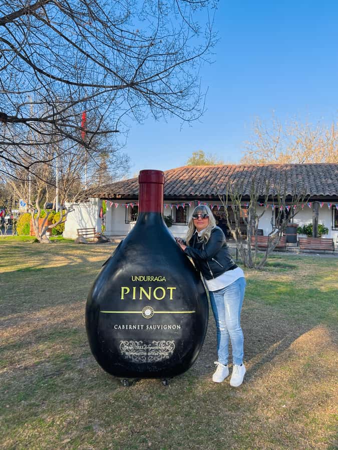 Santiago: Undurraga Winery Tour with Entry and Wine Tasting - Why Undurraga is a smart Santiago wine choice