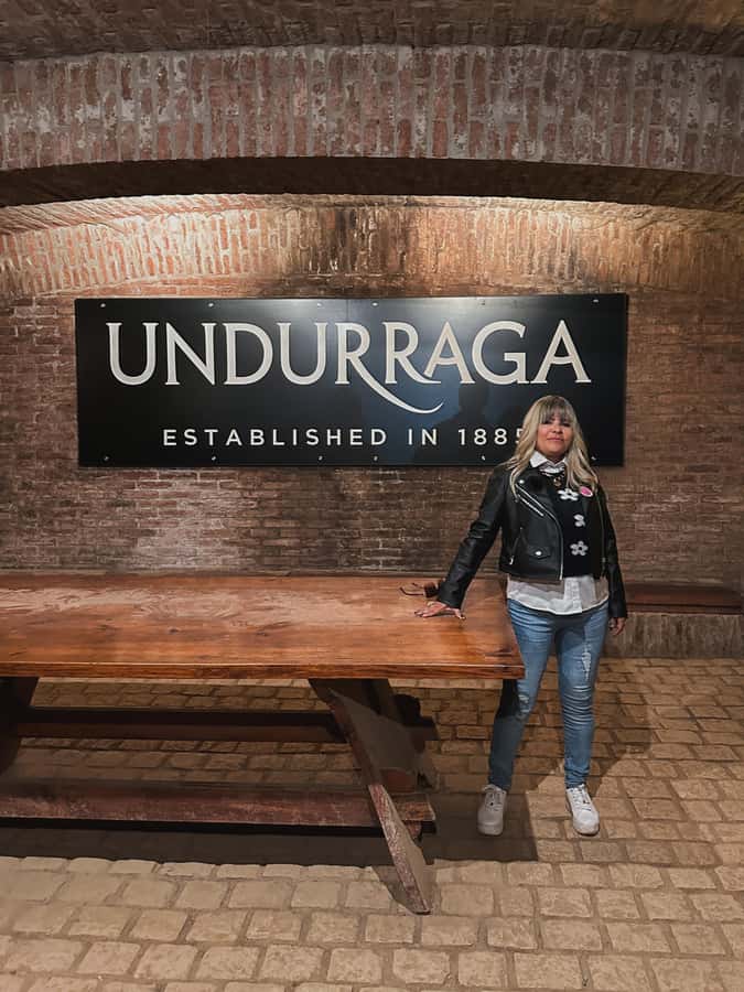 Santiago: Undurraga Winery Tour with Entry and Wine Tasting - The ride to Fundo Santa Ana and how to not lose time