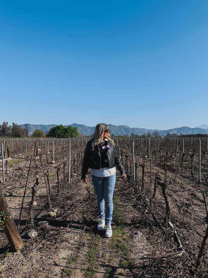 Santiago: Undurraga Winery Tour with Entry and Wine Tasting - The shop stop and taking Maipo Valley products home