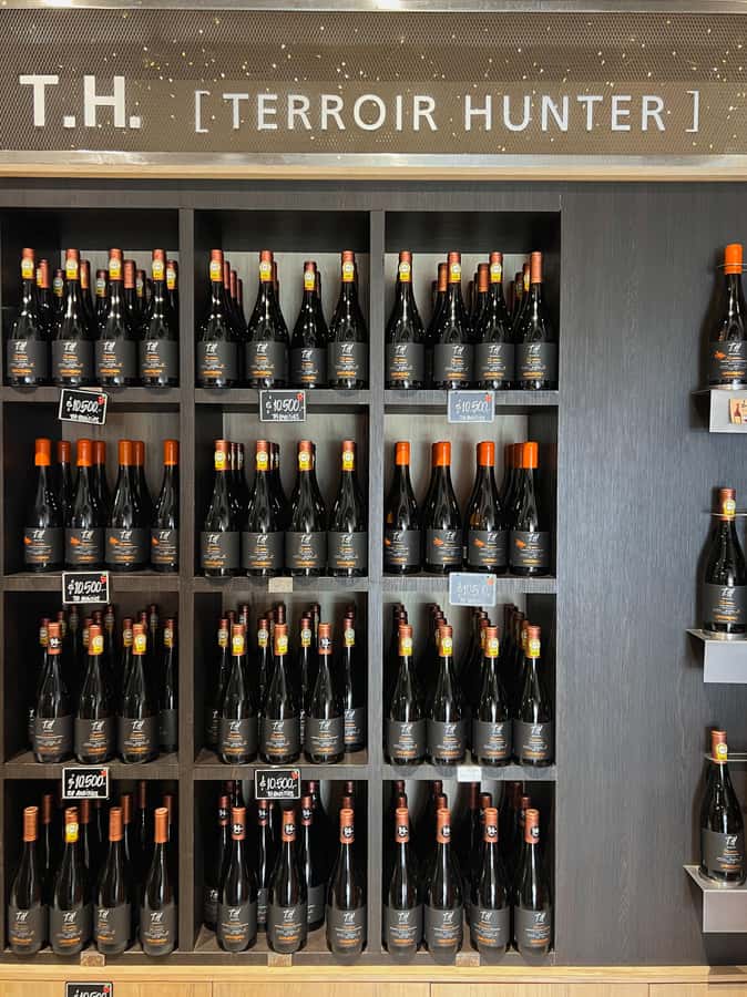 Santiago: Undurraga Winery Tour with Entry and Wine Tasting - Practical tips so your day runs smoothly
