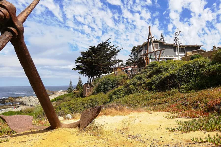 Santiago: Veramonte Vineyard, Isla Negra and Algarrobo, - Algarrobo coastal sightseeing and pine-forest vibes