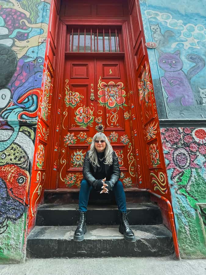 Santiago: Vina Del Mar, Valparaiso, Casablanca & Reñaca Tour - Route 68 in a Day, Why the Pace Feels Right (Mostly)