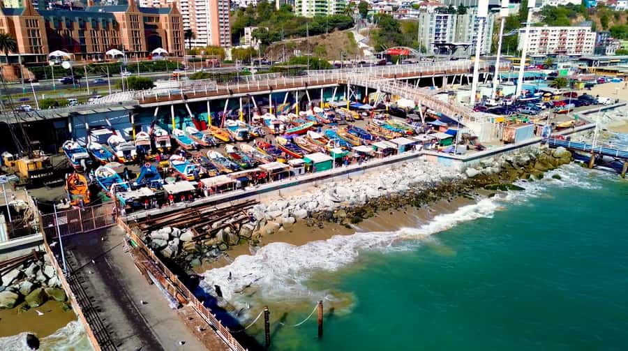 Santiago: Viña del Mar, Valparaiso, with Wine Tasting - Your $60 Day Trip Budget: What’s Included, What to Plan For