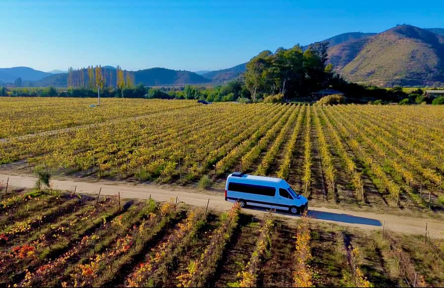Santiago: Viña del Mar, Valparaiso, with Wine Tasting - Viña del Mar Photo Stops, Flower Clock, and Fonck Museum Moments
