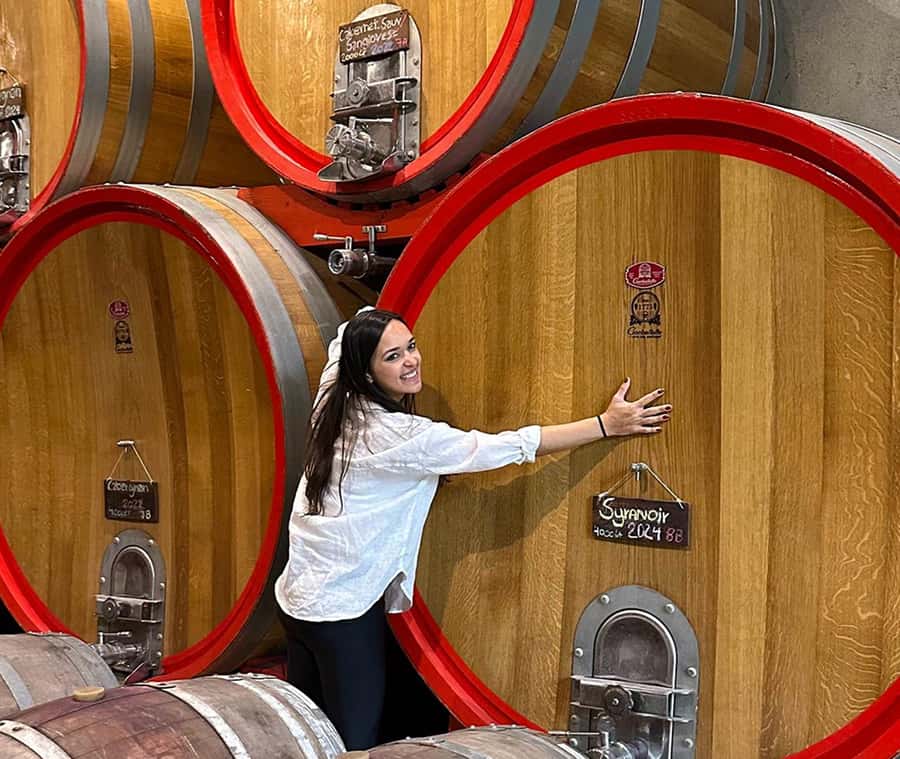 Santiago: World-class Wines, Visit to 4 Vineyards and Tanino - Key things that make this wine day work