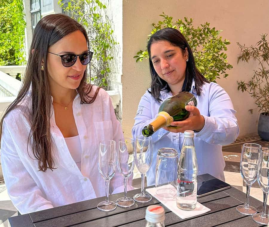 Santiago: World-class Wines, Visit to 4 Vineyards and Tanino - Who should book this Santiago wine tour