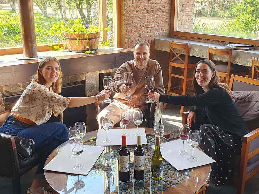 Santiago: World-class Wines, Visit to 4 Vineyards and Tanino - Casablanca Valley wine loop, built for a full 10-hour day