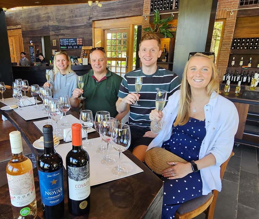 Santiago: World-class Wines, Visit to 4 Vineyards and Tanino - Viñamar: sparkling and still wines in the heart of Casablanca