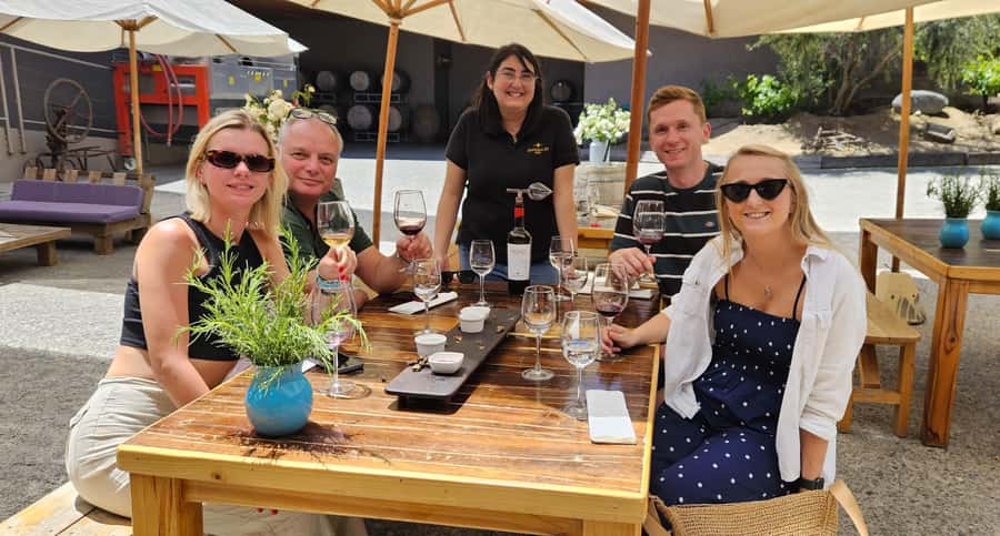 Santiago: World-class Wines, Visit to 4 Vineyards and Tanino - Price and value: is $149 fair for 4 winery stops?