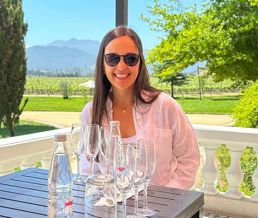 Santiago: World-class Wines, Visit to 4 Vineyards and Tanino - Pickup, group size, and the kind of guide that changes the day