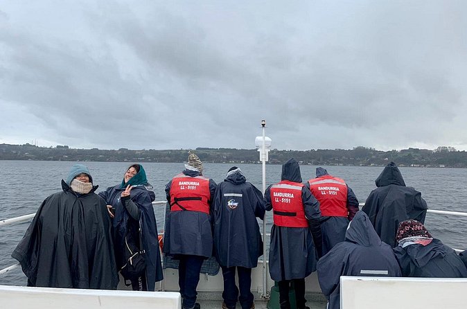 Scenic Catamaran Tour on Llanquihue lake - Frutillar’s charm from the lake, not just the streets
