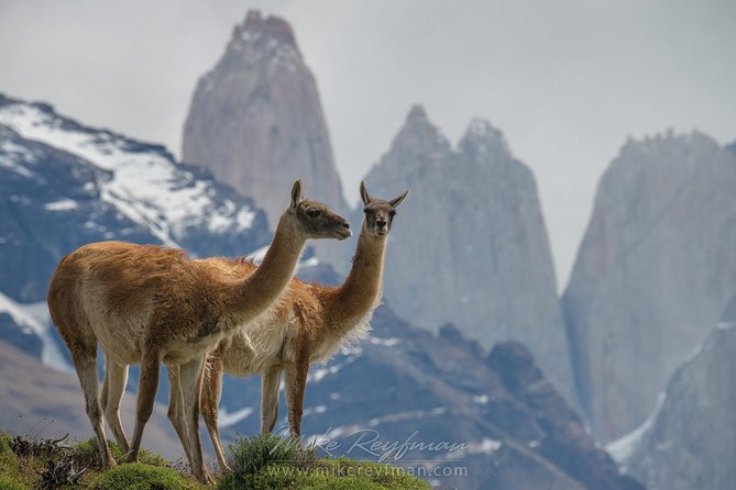 Self Drive Experience in Torres del Paine National Park - 6 Days - Price and logistics: what you are really paying for