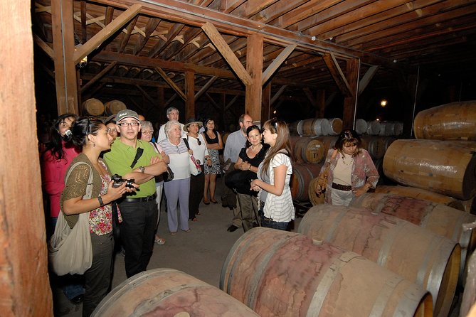 Semi-Private Premium Wine Tour at Santa Rita Winery - Why Santa Rita in the Maipo Valley feels like a real wine outing