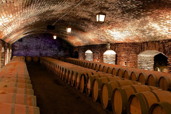 Sensory Experience Half Day Tour of Winerie Concha y Toro - What This Half-Day Concha y Toro Tour Gets You