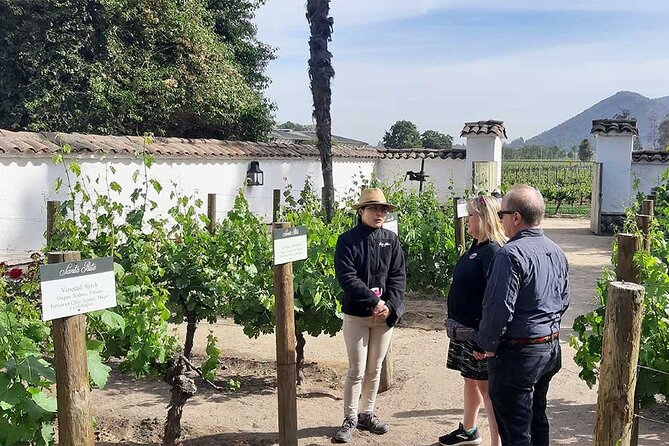 Sensory Experience Half Day Tour of Winerie Concha y Toro - Four-Wine Tasting, Complimentary Glass, and the 18+ Rule