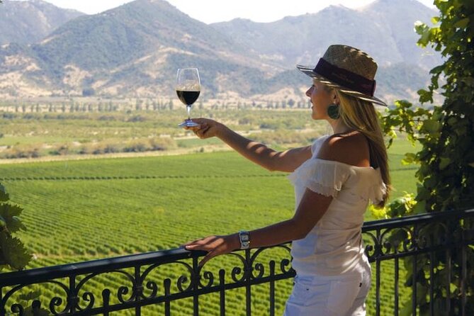 Sensory Experience Half Day Tour of Winerie Concha y Toro - Pirque Viewpoint, Galleries, and the End at the Plaza