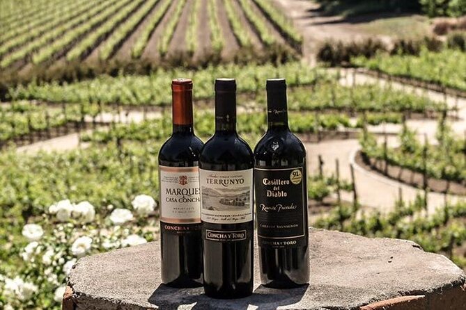 Sensory Experience Half Day Tour of Winerie Concha y Toro - Concha y Toro Wine Center and Casa Don Melchor Exterior