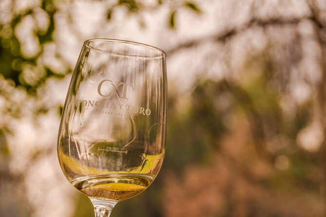 Shell and bull vineyard New experience - Stop 1 at Concha y Toro Wine Shop: advice before you taste
