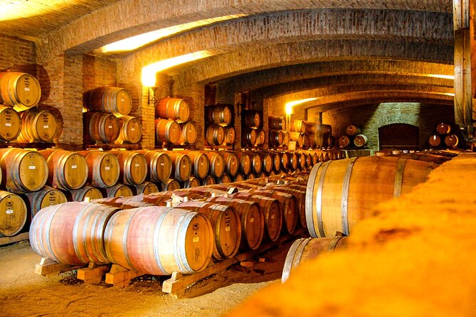 Shell and bull vineyard New experience - Price and value: what you’re really paying for at $99