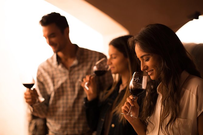Small-Group Half Day Tour to Concha y Toro Winery - Why This Santiago Wine Tour Works So Well