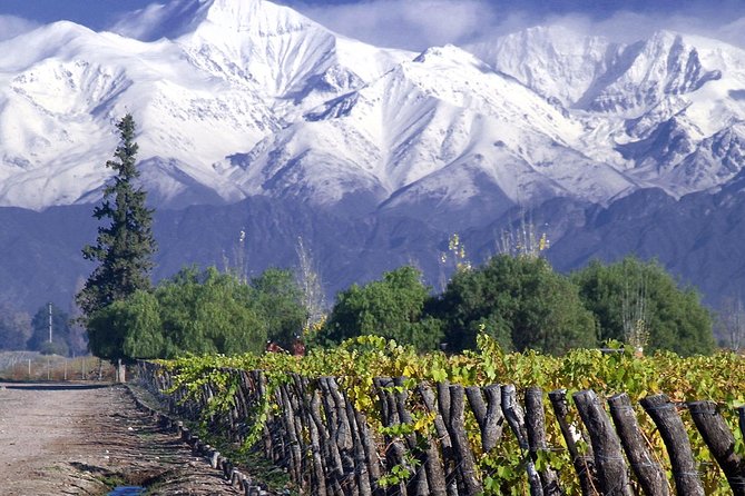Small-Group Half Day Tour to Concha y Toro Winery - A 4-Hour Santiago Wine Run With Real Estate Time
