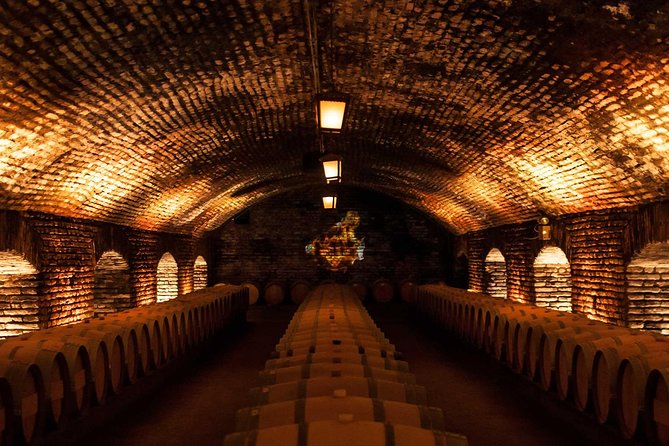 Small-Group Half Day Tour to Concha y Toro Winery - What’s Included, and What You Still Might Want to Bring
