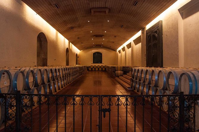 Small-Group Half Day Tour to Concha y Toro Winery - Price Check: Is $180 Good Value for This Half Day?