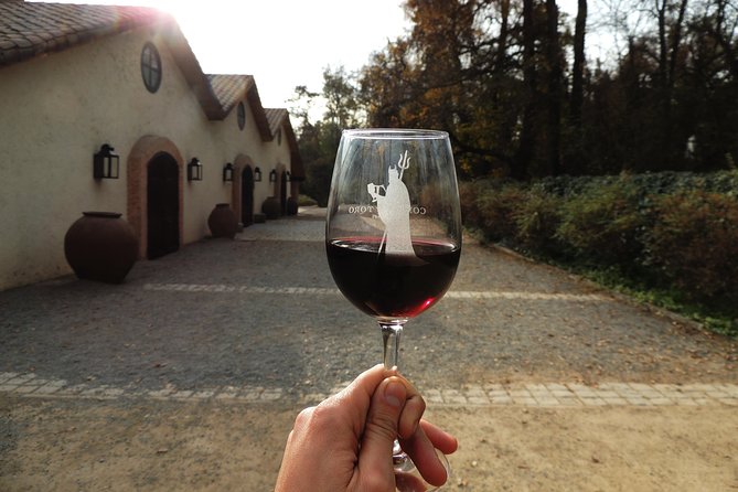 Small-Group Maipo Vineyards Full-Day Experience with Optional Lunch - Wine tastings and the engraved glass: what the included experience really covers