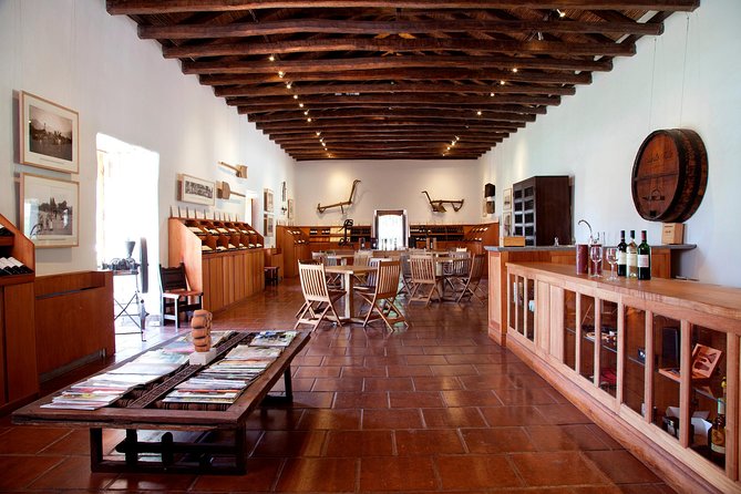 Small-Group Maipo Vineyards Full-Day Experience with Optional Lunch - Time management and communication: how to keep the day smooth