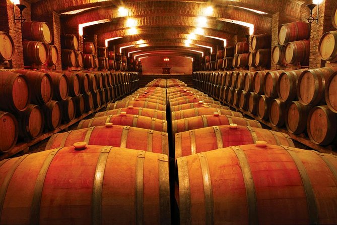 Small-Group Maipo Vineyards Full-Day Experience with Optional Lunch - How the winery lineup works in Maipo (and which swaps to expect)